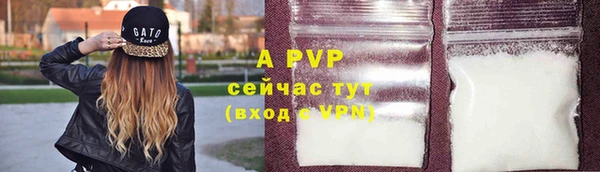 таблы Богданович