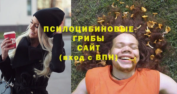 mdpv Белокуриха