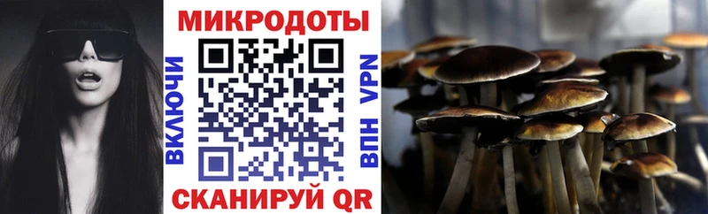 Псилоцибиновые грибы прущие грибы Облучье